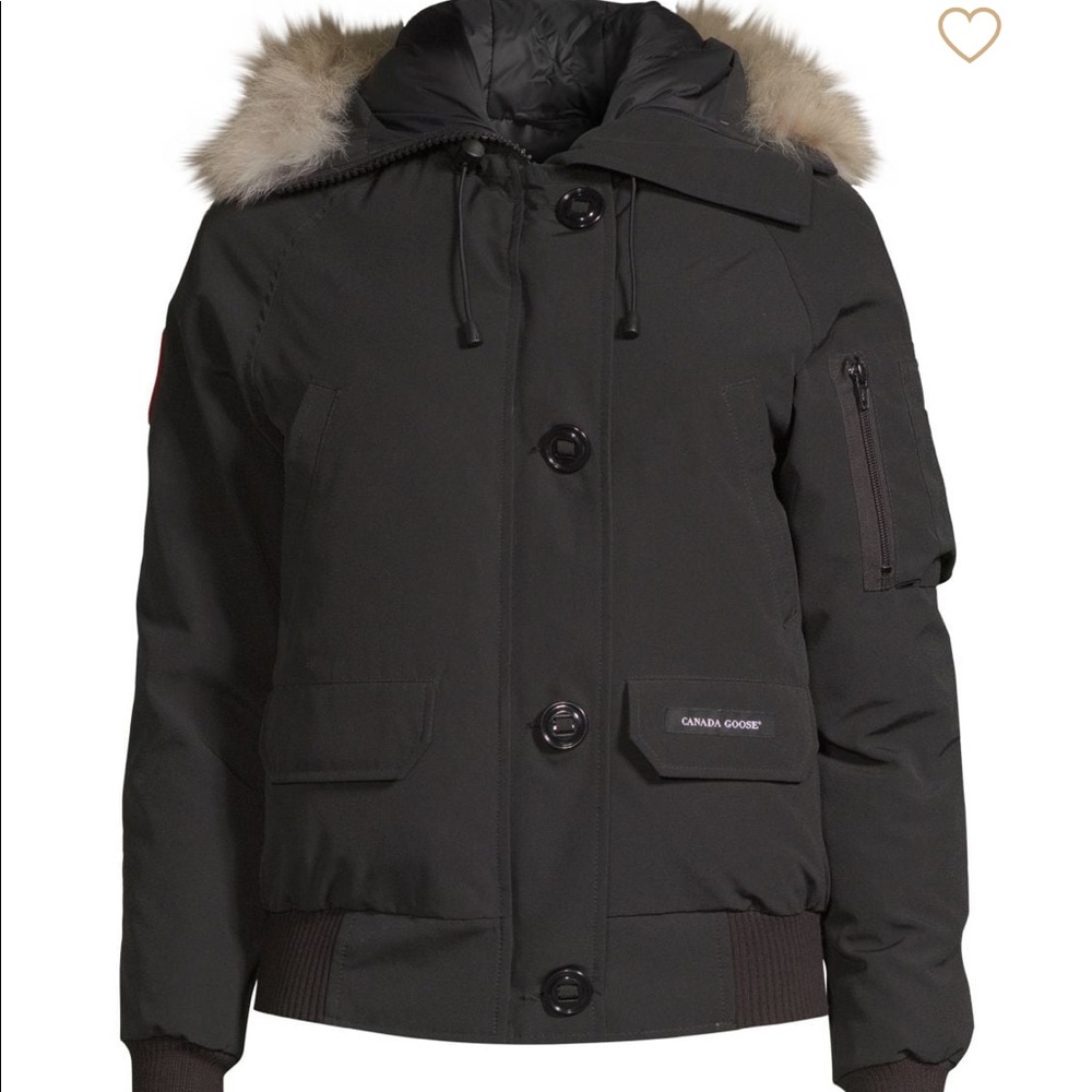 Canada goose; mint condition
